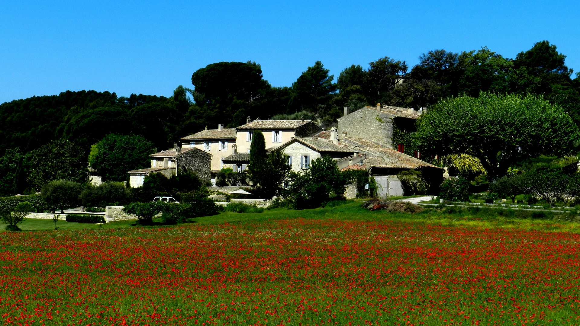 Champ de coquelicots et maisons dans la campagne de Lourmarin, en Luberon