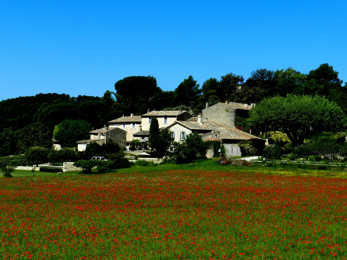 Champ de coquelicots et maisons dans la campagne de Lourmarin, en Luberon
