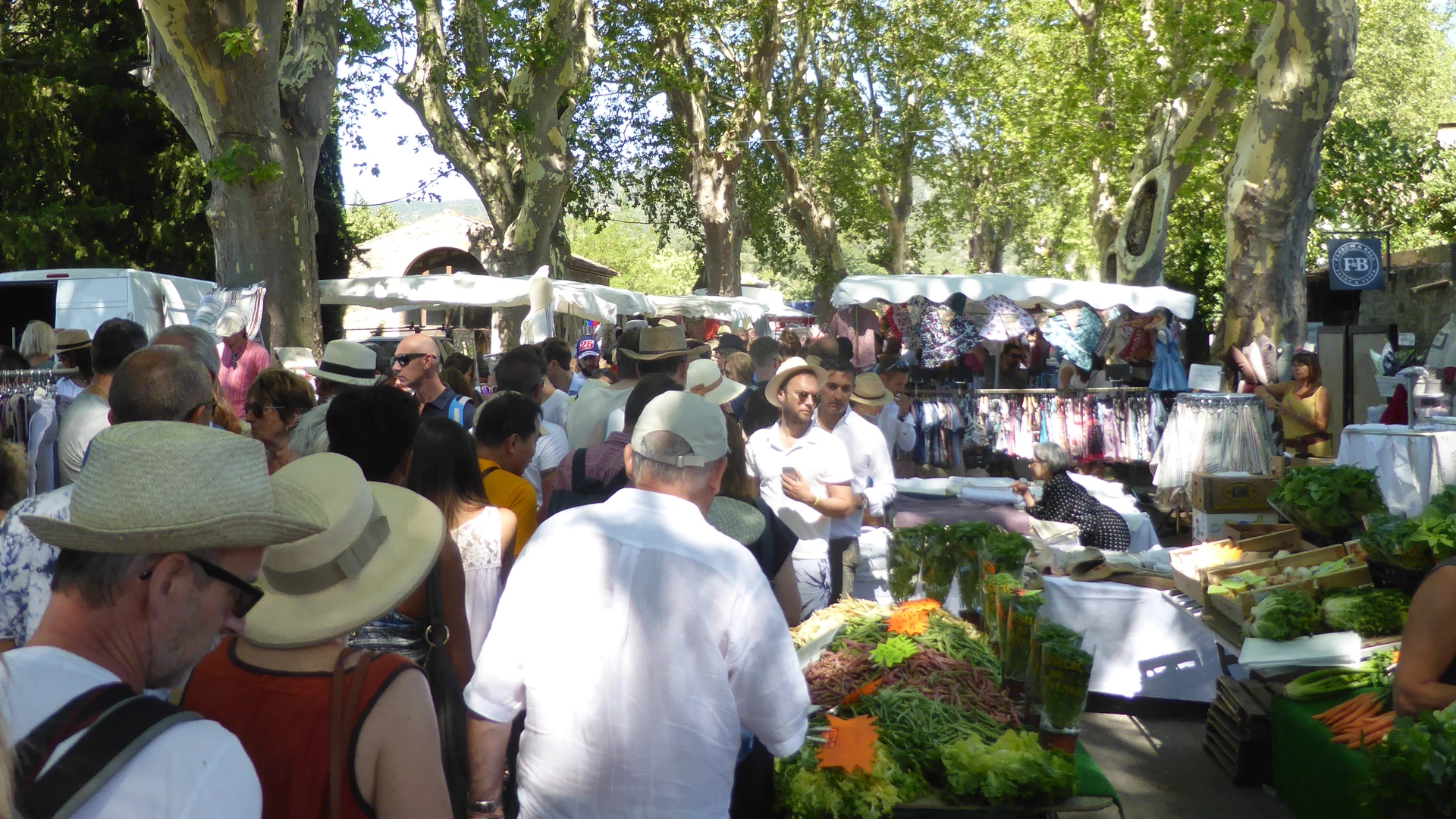Étals de fruits et légumes sous les platanes, marché du vendredi à Lourmarin