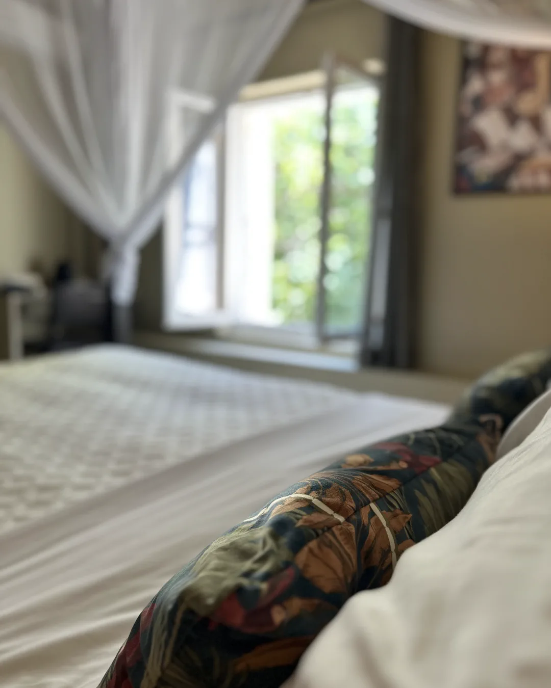 Fenêtre ouverte sur la végétation depuis le lit, chambre Hanoï, hôtel O Mamma Mia, Lourmarin