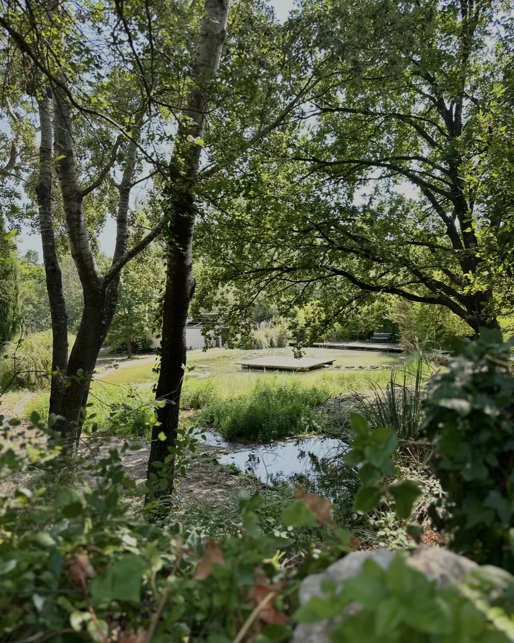 Plan d'eau naturel et pontons en bois entre les arbres du parc, hôtel O Mamma Mia à Lourmarin