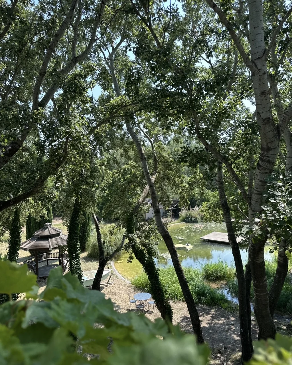 Vue plongeante sur le plan d'eau naturel, le kiosque en bois et la barque, hôtel O Mamma Mia à Lourmarin