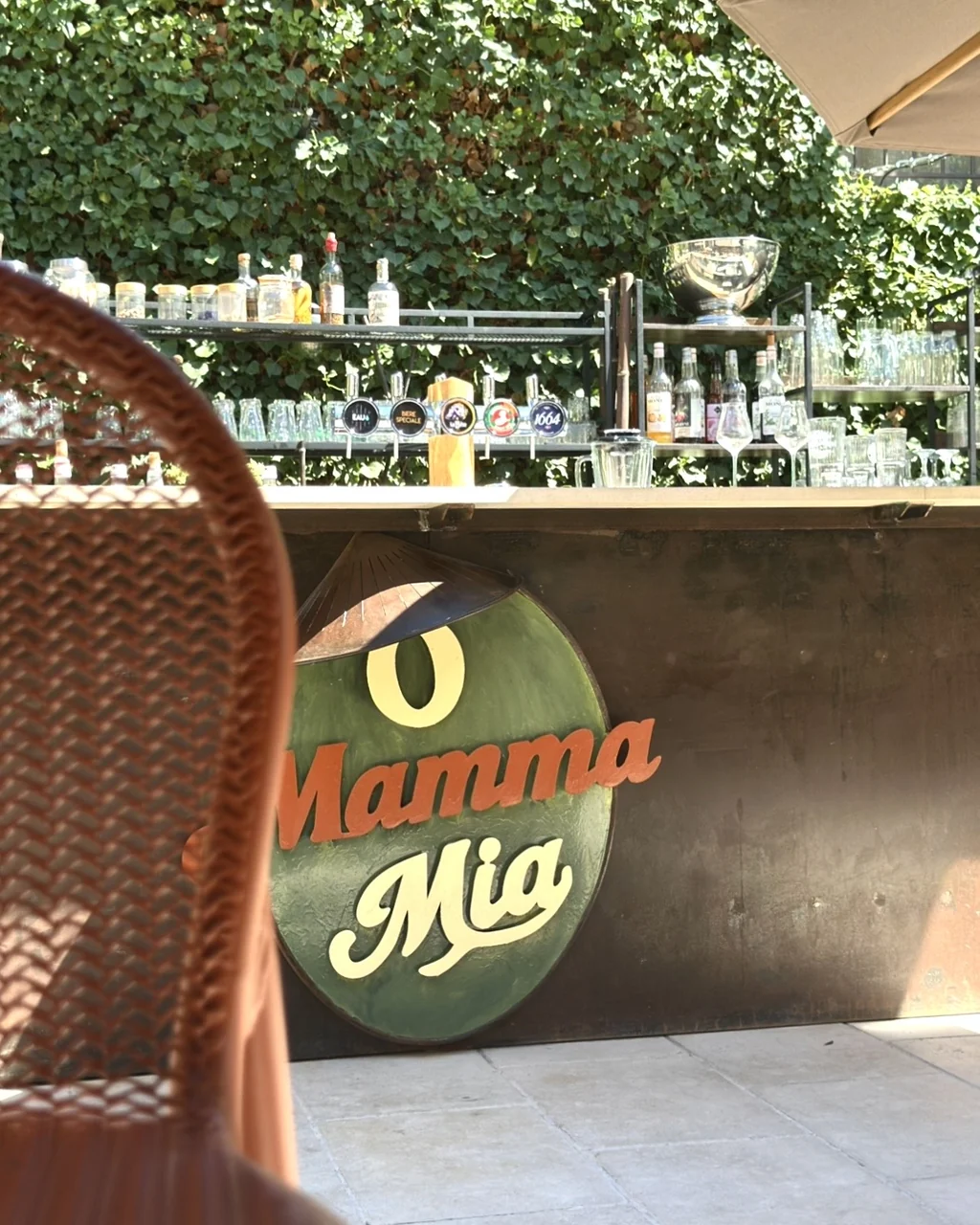 Comptoir du bar, tireuses à bière et verrerie devant le mur de lierre, O Mamma Mia à Lourmarin