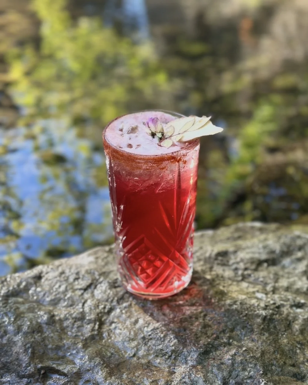Cocktail rubis posé sur un rocher au bord de l'Aigues Brun, bar O Mamma Mia à Lourmarin